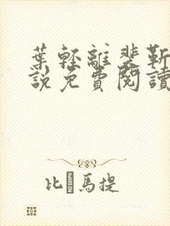 叶轻离裴靳墨小说免费阅读笔趣阁封面