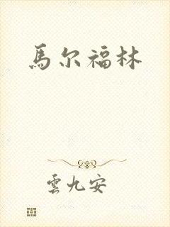 马尔福林封面