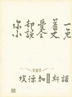你却爱着一个他小说全文免费阅读