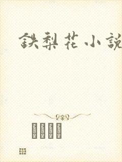 铁梨花小说