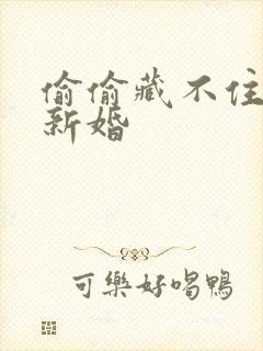 偷偷藏不住番外新婚