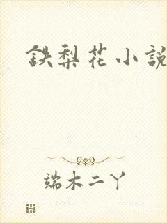 铁梨花小说封面