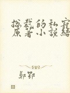 总裁的私宠甜妻原著小说结局封面