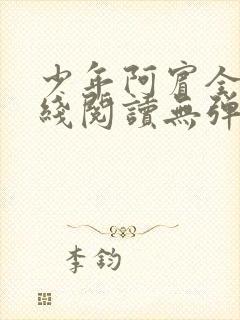 少年阿宾全文在线阅读无弹窗封面
