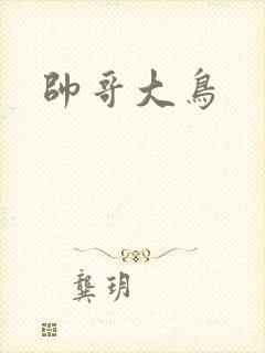 帅哥大鸟