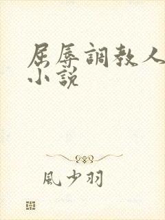 屈辱调教人妻韩小说封面