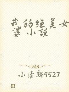 我的绝美女神老婆 小说封面