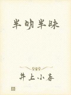 半明半昧