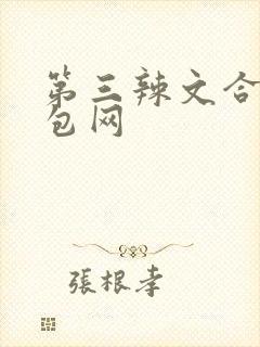 第三辣文合集书包网封面