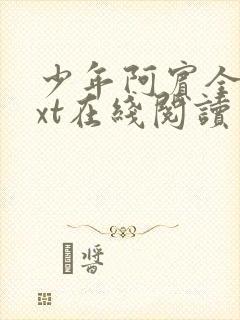 少年阿宾全集txt在线阅读