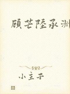 顾芒陆承洲封面