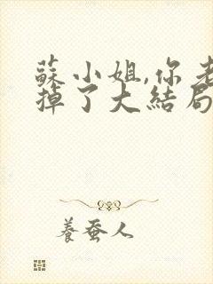 苏小姐,你老公掉了大结局