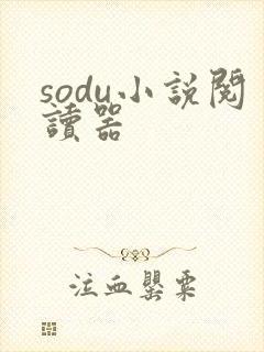 sodu小说阅读器封面