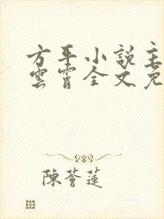方平小说主角,云霄全文免费阅读最新章节