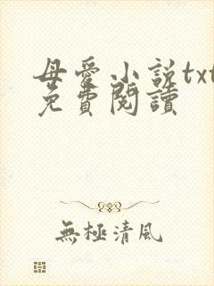 母爱小说txt免费阅读封面
