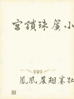 宫锁珠帘小说
