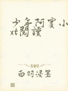 少年阿宾小说txt阅读封面
