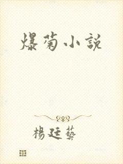爆菊小说