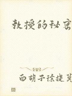 教授的秘密封面