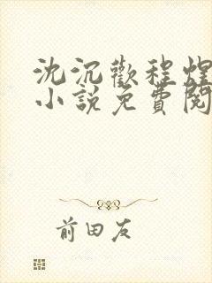 沈沉欢程煜原著小说免费阅读封面