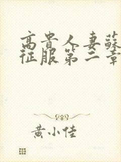 高贵人妻苏媛被征服第二章