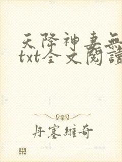 天降神妻无删减txt全文阅读下载