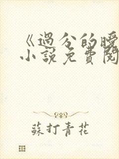 《过分的暧昧》小说免费阅读全文封面