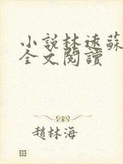 小说林远苏墨浓全文阅读封面