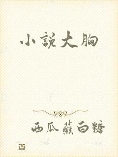 小说大胸