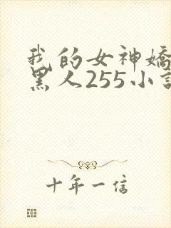 我的女神娇妻与黑人255小说