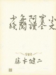 少年阿宾小说在线阅读全文免费