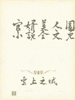 官婿美人图安江小说全文免费阅读封面