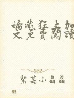 娇藏狂上加狂全文免费阅读笔趣阁