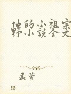 他的小祖宗甜又野小说全文免费阅读封面