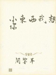 小东西我想弄坏你封面