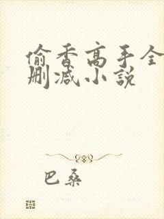偷香高手全文无删减小说