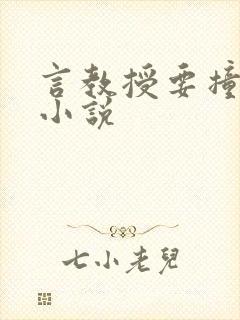 言教授要撞坏了小说