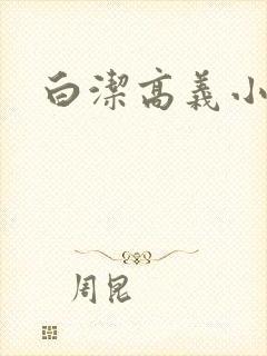 白洁高义小说