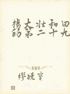 杨大壮和田桂花的第二十九