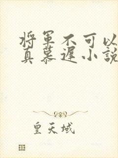 将军不可以魏云真慕迟小说笔趣阁