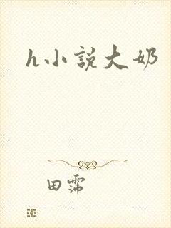 h小说大奶封面