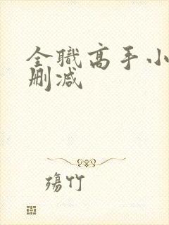 全职高手小说无删减