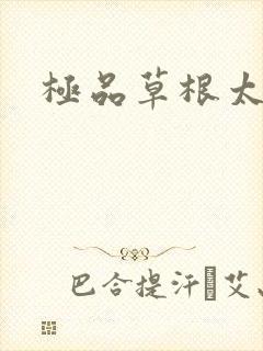 极品草根太子