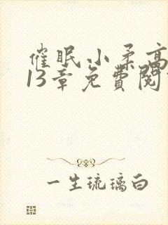 催眠小柔高达第13章免费阅读