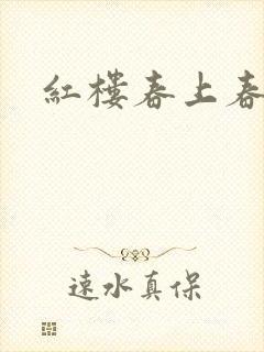 红楼春上春