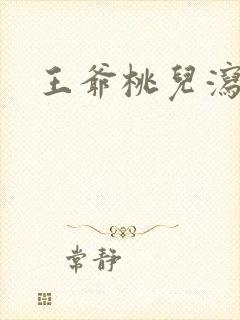 王爷桃儿泻了封面