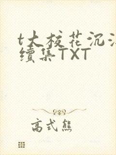 t大校花沉浮录续集TXT