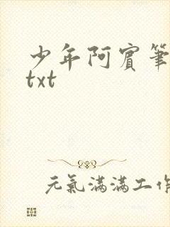 少年阿宾笔趣阁txt