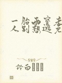 一胎两宝老婆大人别想逃免费封面