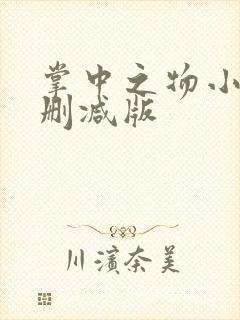 掌中之物小说无删减版封面